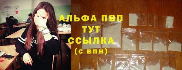 дживик Мегион