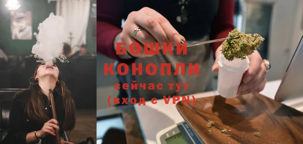 spice Медногорск
