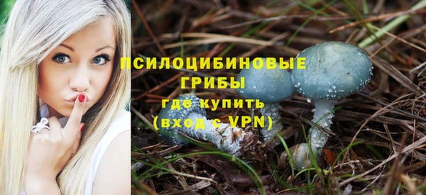 дживик Мегион