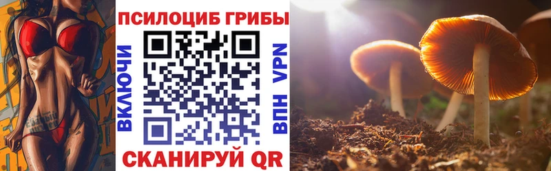 Псилоцибиновые грибы прущие грибы  Мосальск 