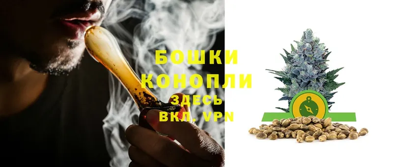 Каннабис индика  купить закладку  Мосальск 